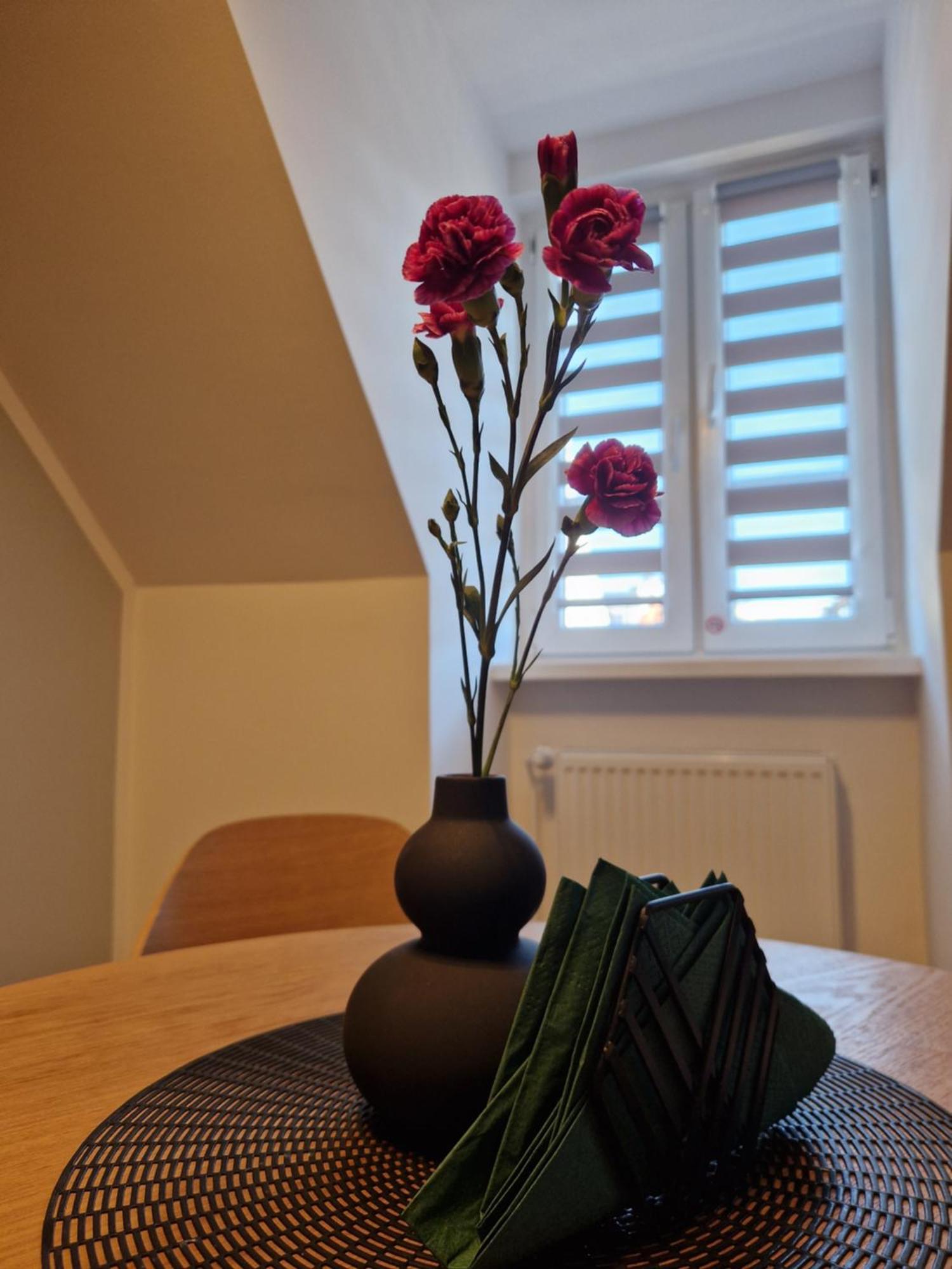 Apartament Rabianska 14 Stary Toruń 외부 사진